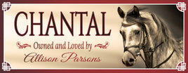 Personalized Arabian horse stall sign featuring an image of an Arabian horse's head. All lines of text are editable for custom names and messages.