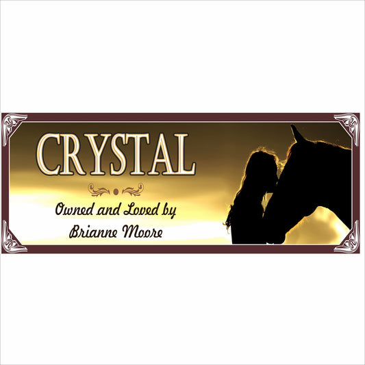 Personalized horse lover sign with horse and girl rider silhouette at sunset, customizable name and message