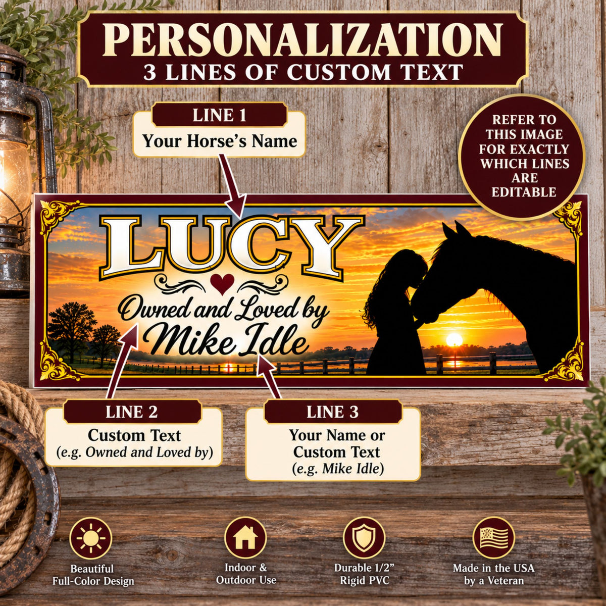 Personalization infographic showing the three customizable text lines on the horse sign.