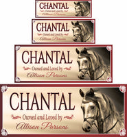 Personalized Arabian horse stall sign featuring an image of an Arabian horse's head. All lines of text are editable for custom names and messages.