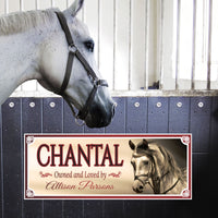 Personalized Arabian horse stall sign featuring an image of an Arabian horse's head. All lines of text are editable for custom names and messages.