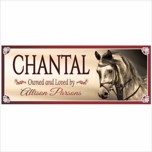 Personalized Arabian horse stall sign featuring an image of an Arabian horse's head. All lines of text are editable for custom names and messages.