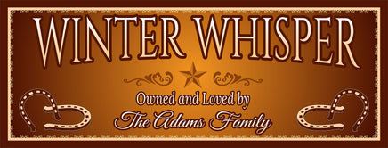 Personalized gold horse stall sign featuring horseshoes and a country star. All lines of text are editable. The small size sign includes only two lines of text. Perfect for adding a touch of elegance to your stable.