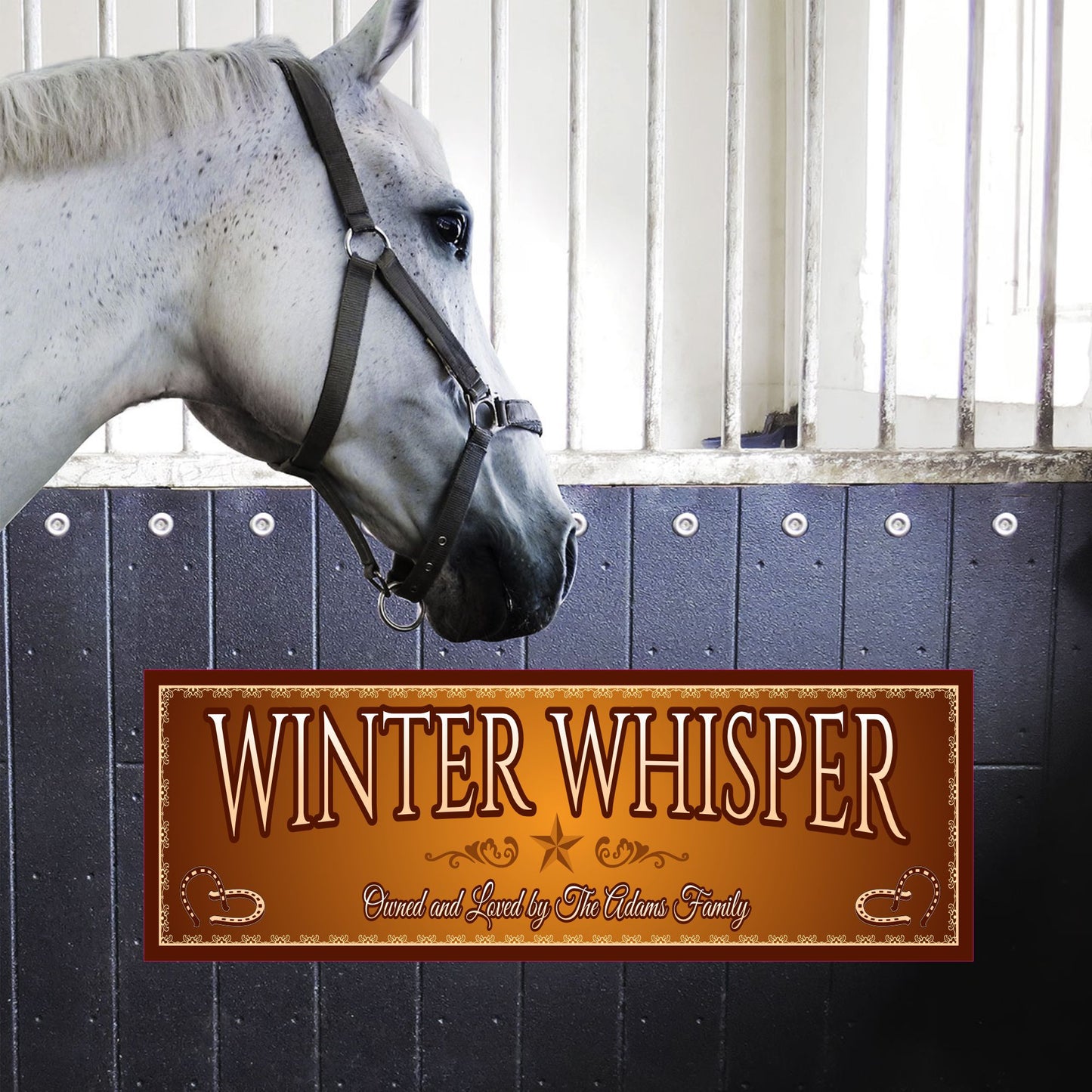 Personalized horse stall sign mounted on a stall door inside a barn 
