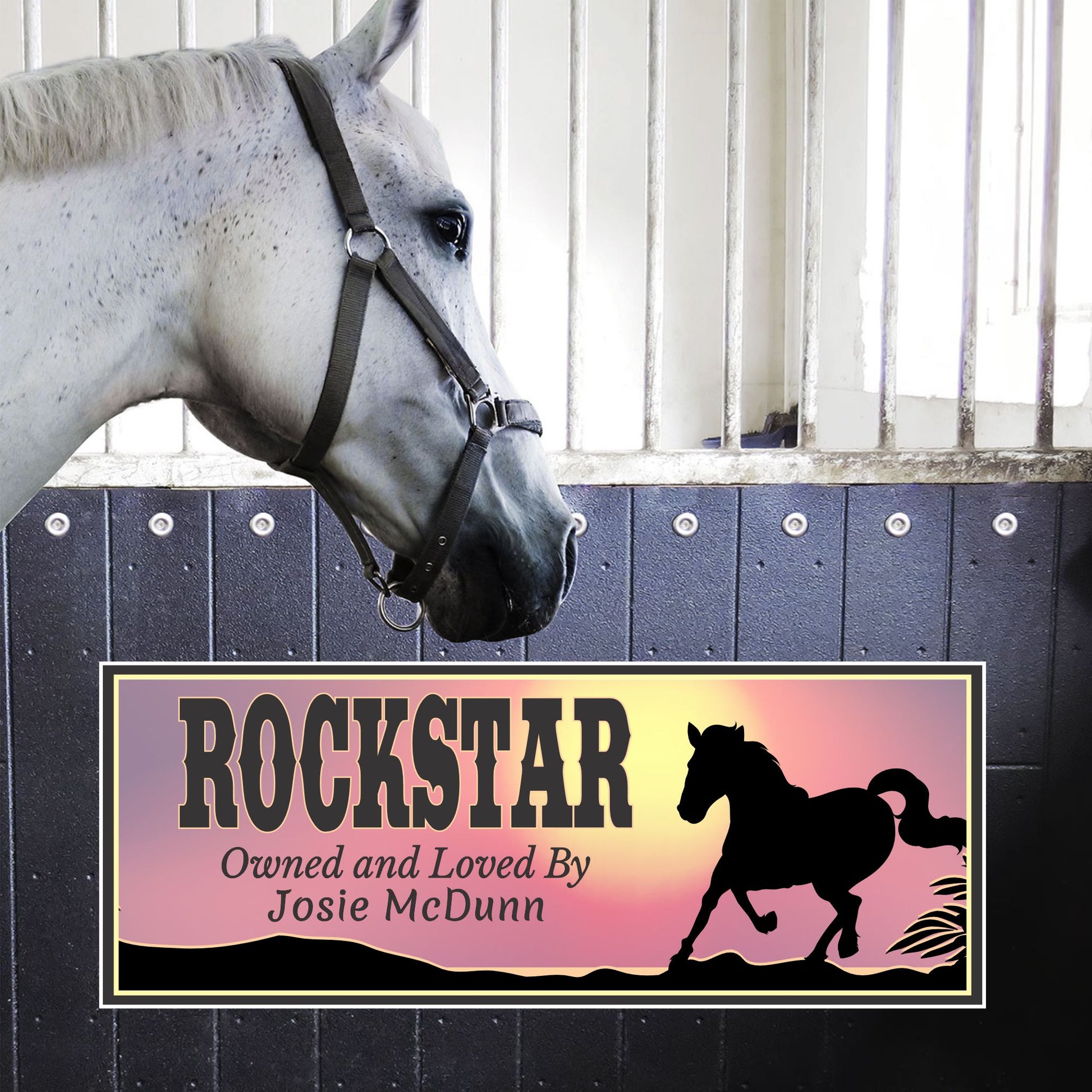 Horse name sign displayed on stall front next to a horse