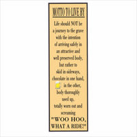 Vertical motto wall sign with humorous quote about living life to the fullest, shown in teal background with drink icon and customizable color options.