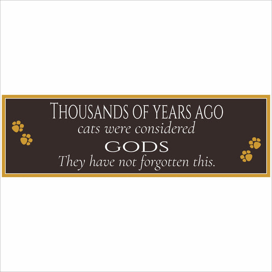 Sign front view thousands of years ago cats were considered gods quote sign