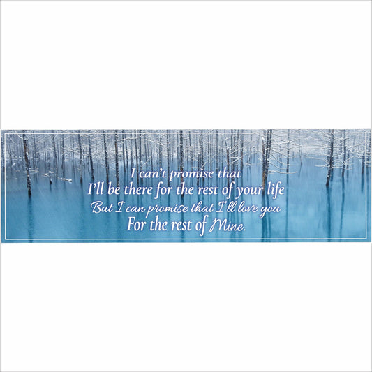 Romantic anniversary quote sign featuring snowy winter forest and blue water background reading I’ll love you for the rest of mine