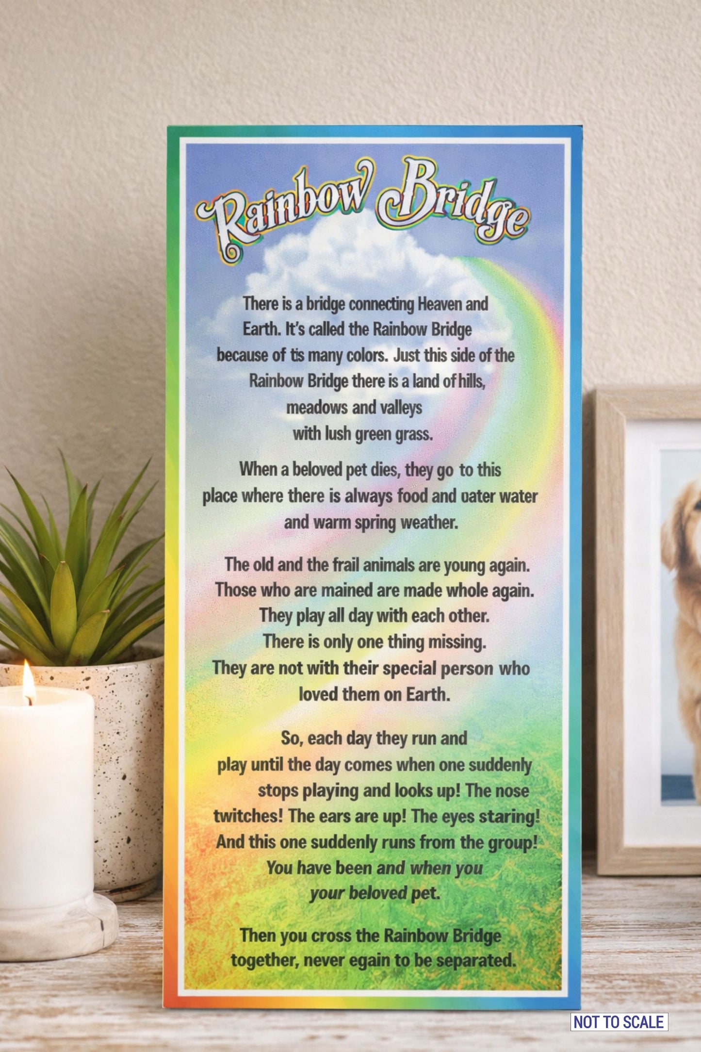 Rainbow Bridge sympathy sign displayed on shelf memorial setting