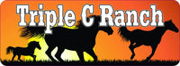 Horse Sunset Personalized Sign 