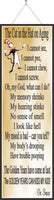Aging Humor Sarcastic Sign with Cat in the Hat
